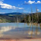 Yellowstone NP