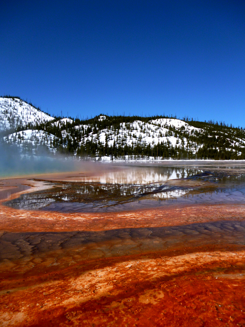 Yellowstone NP