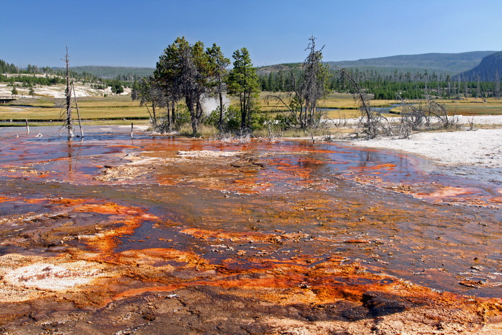 Yellowstone NP