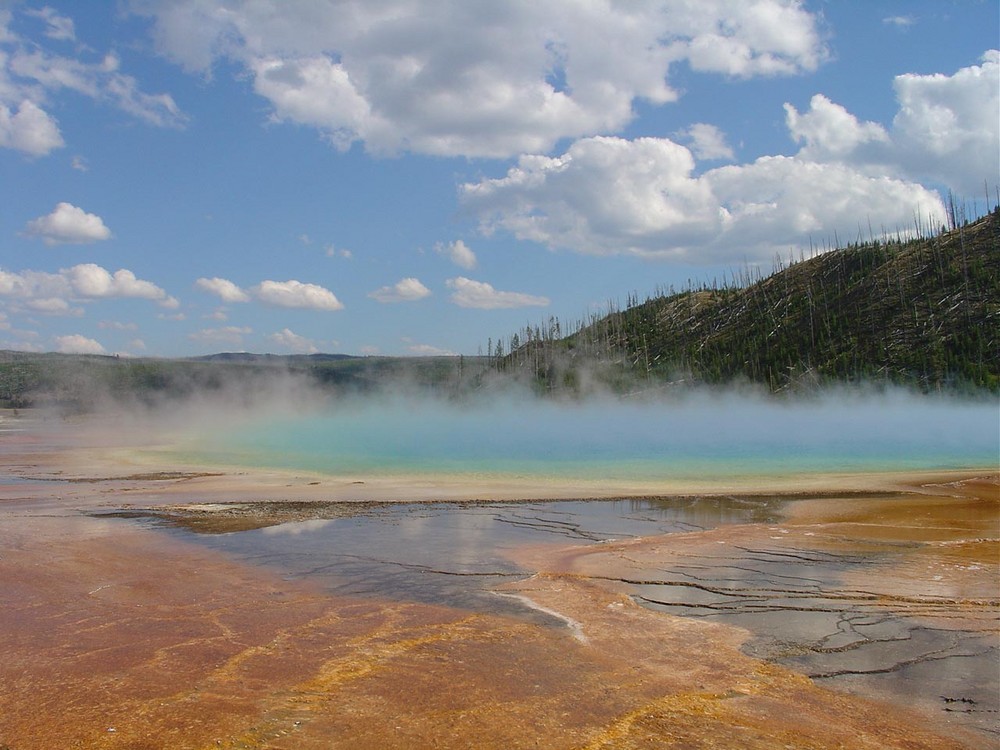 Yellowstone NP