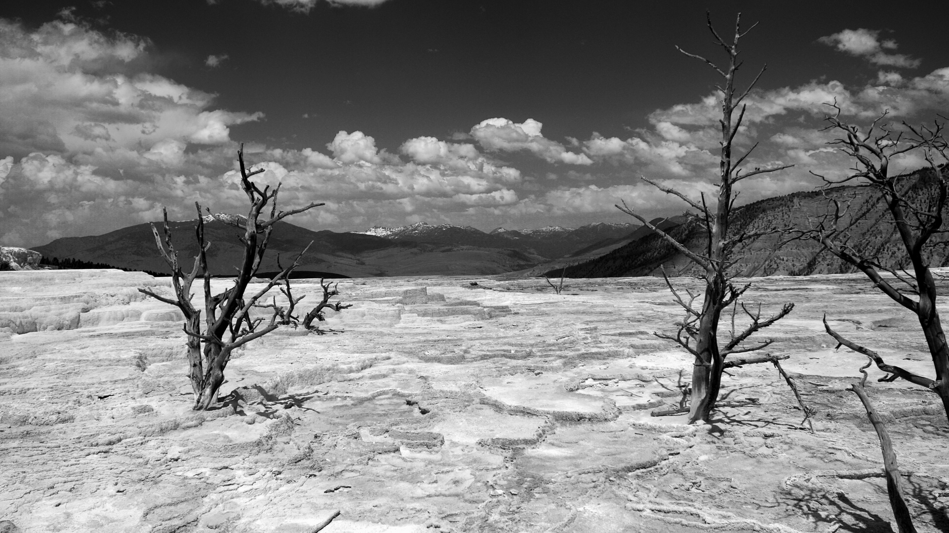 Yellowstone-NP