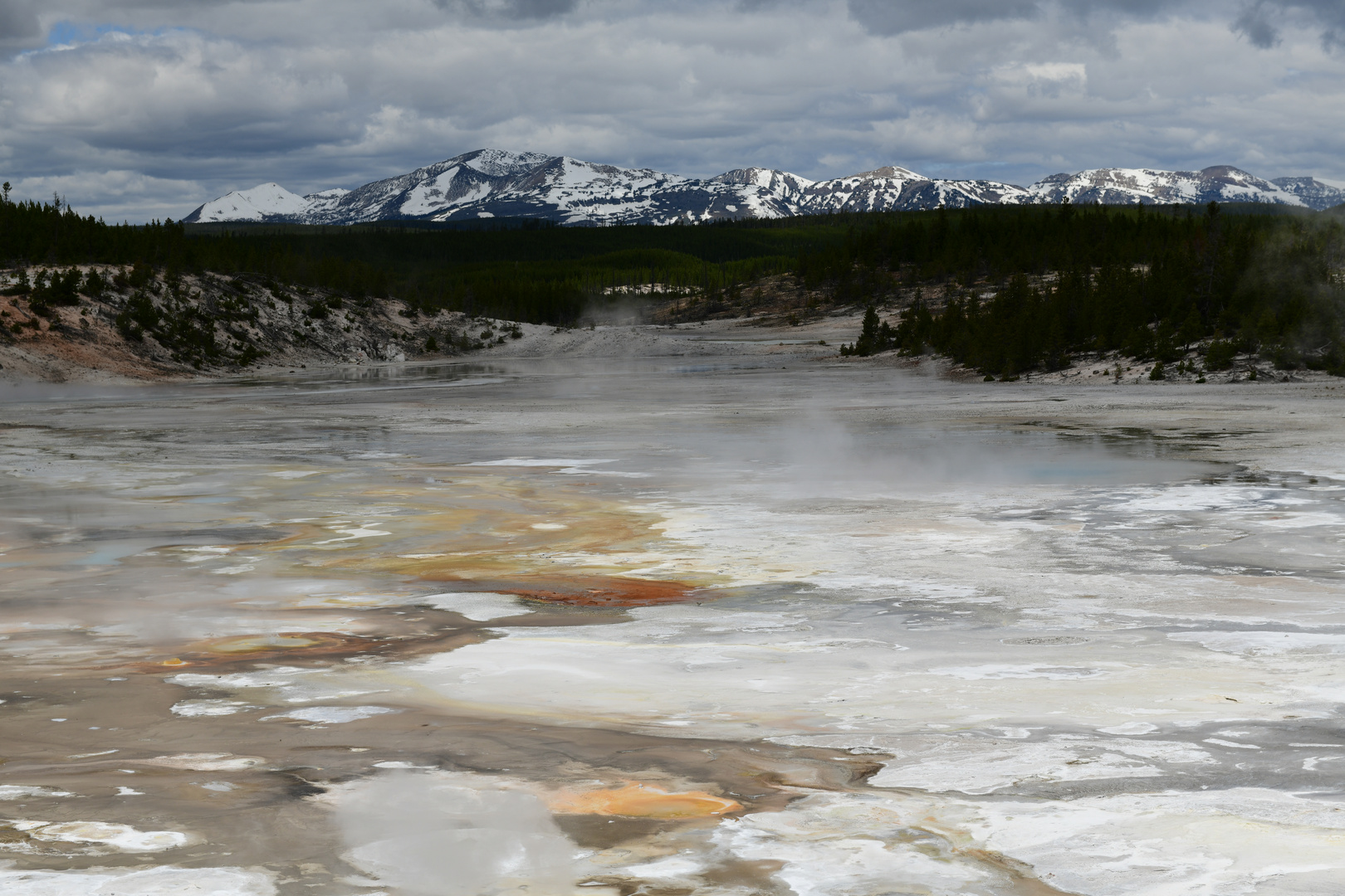 Yellowstone NP