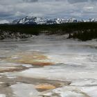 Yellowstone NP