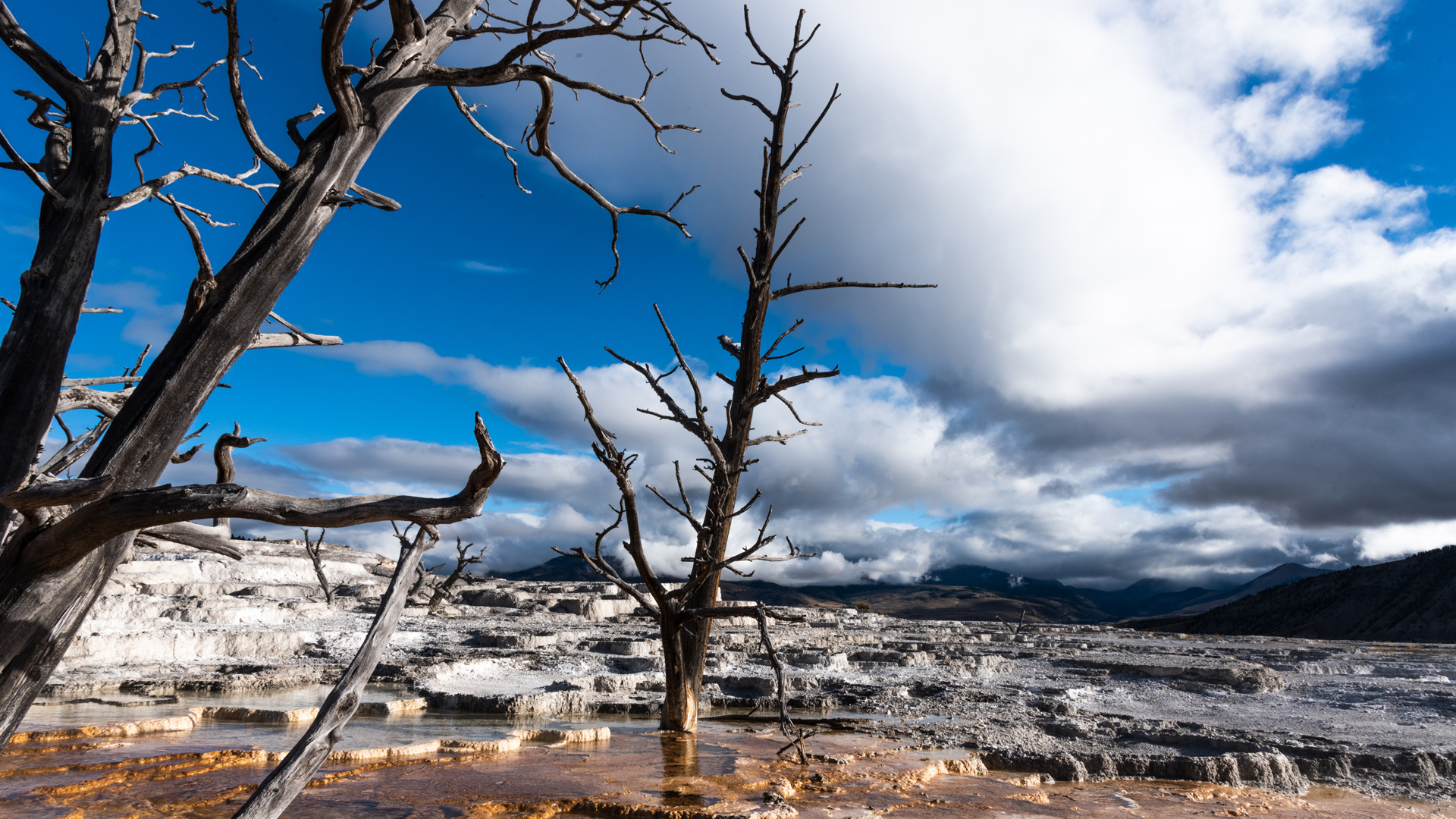 Yellowstone NP (Mammoth Hot Springs)