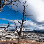 Yellowstone NP (Mammoth Hot Springs)