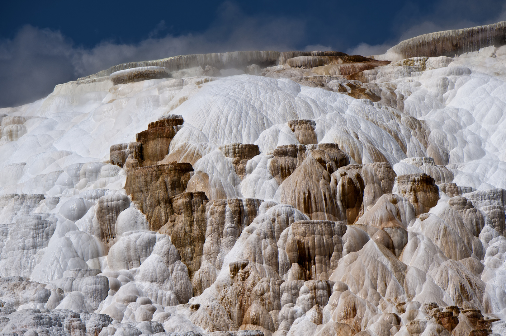 Yellowstone NP Mammoth Hot Springs