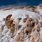 Yellowstone NP Mammoth Hot Springs