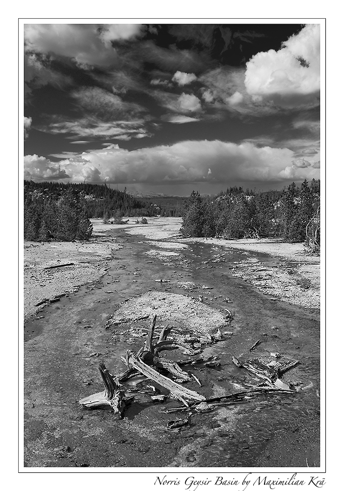 Yellowstone NP - Norris Geysir Basin