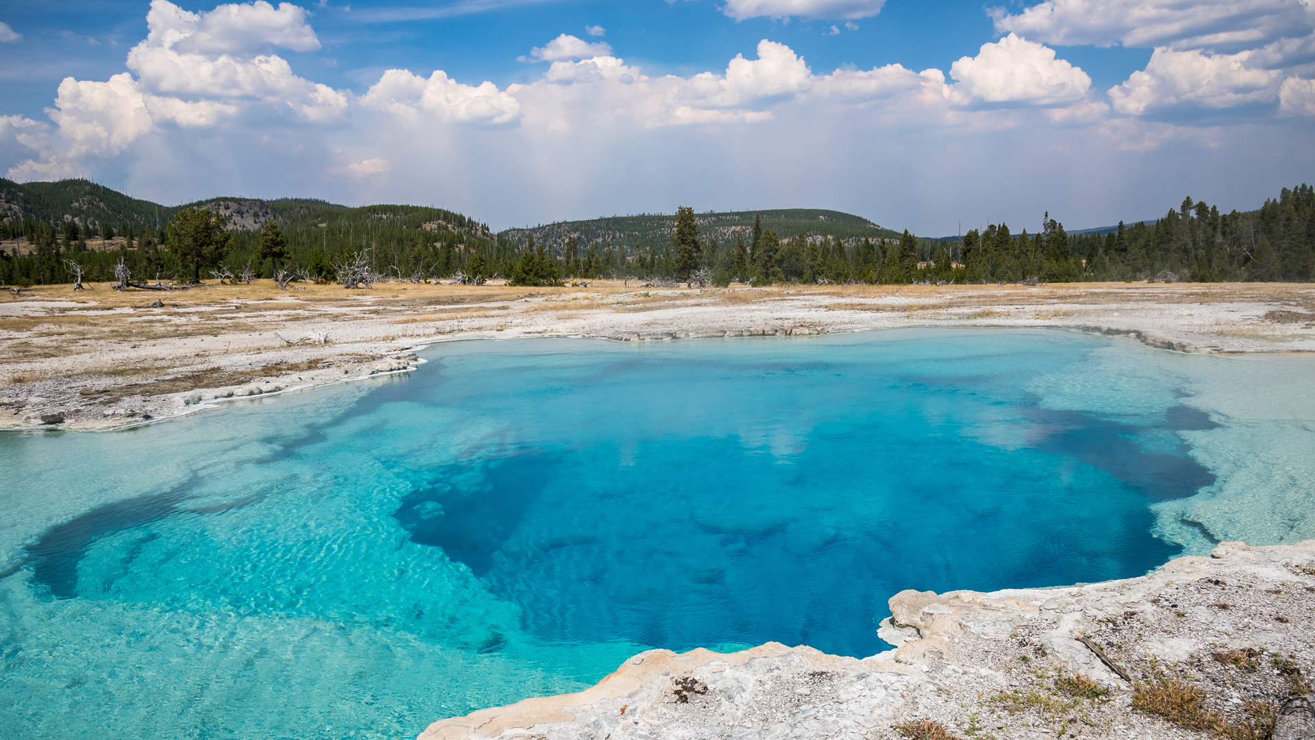 Yellowstone NP (Norris-Geysir-Becken)