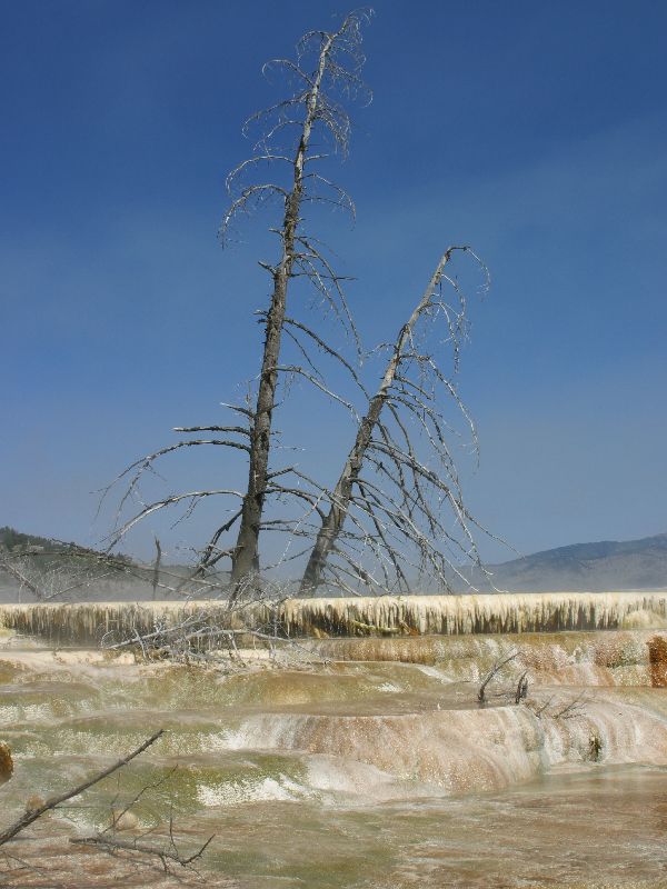 Yellowstone NP Sept.2007 2