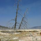 Yellowstone NP Sept.2007 2