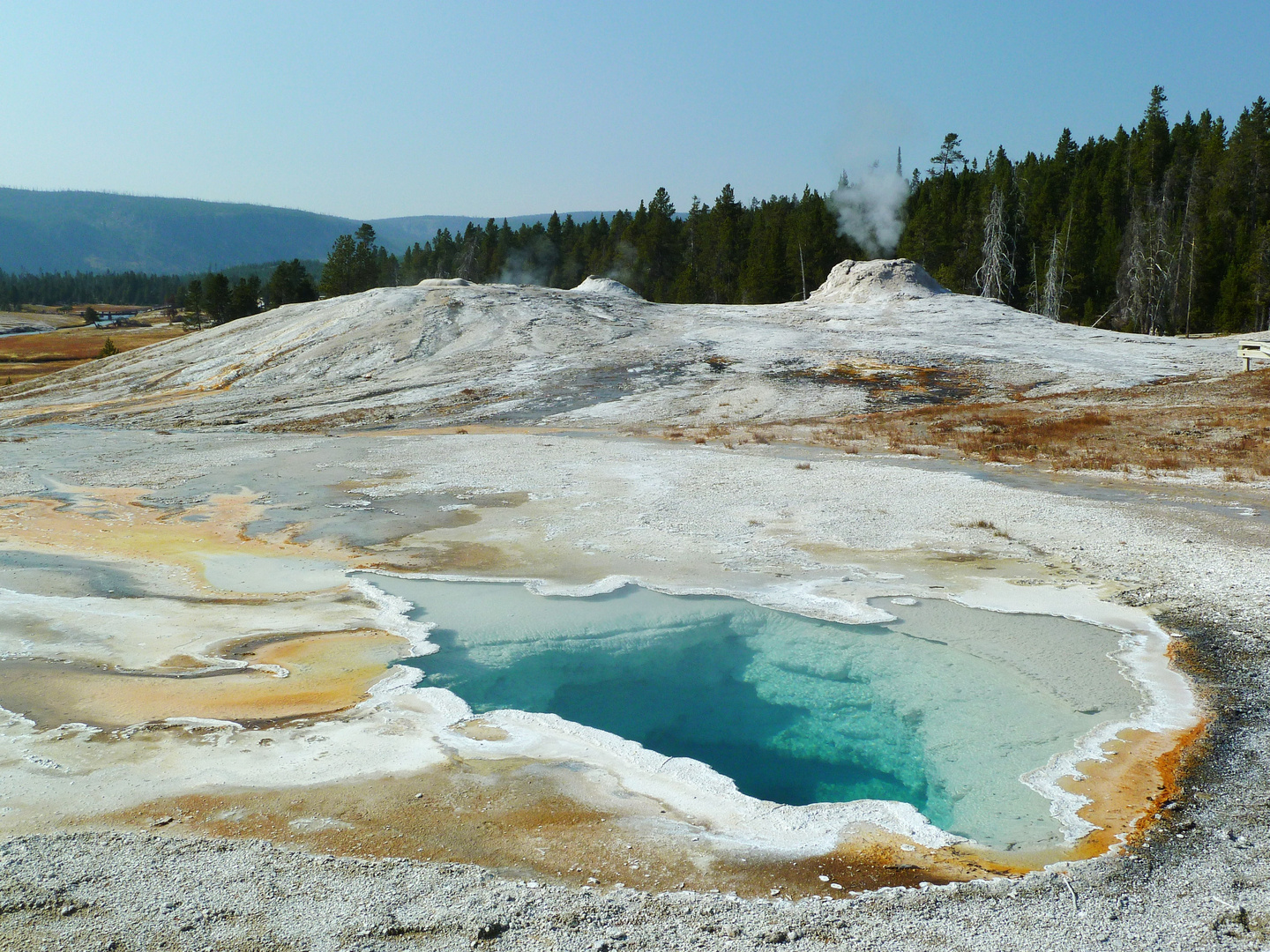 Yellowstone N.P.; Upper Geyser Basin