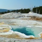 Yellowstone N.P.; Upper Geyser Basin