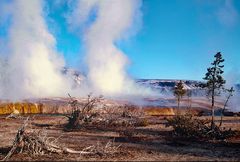 Yellowstone NP - urwüchsige Landschaft, Fumarolen und Geysire - Schwefelgeruch