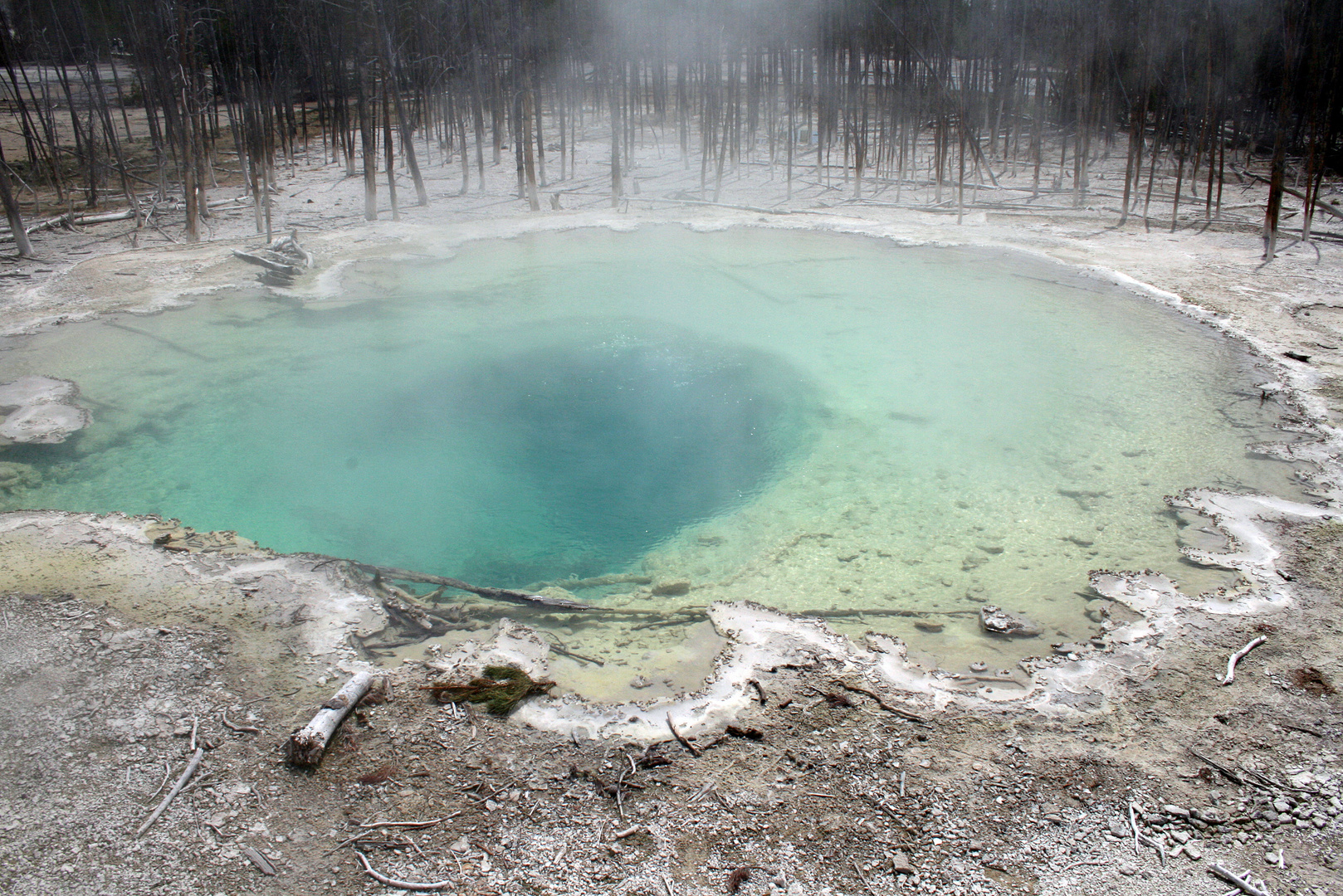 Yellowstone NP USA..