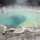 Yellowstone NP USA..