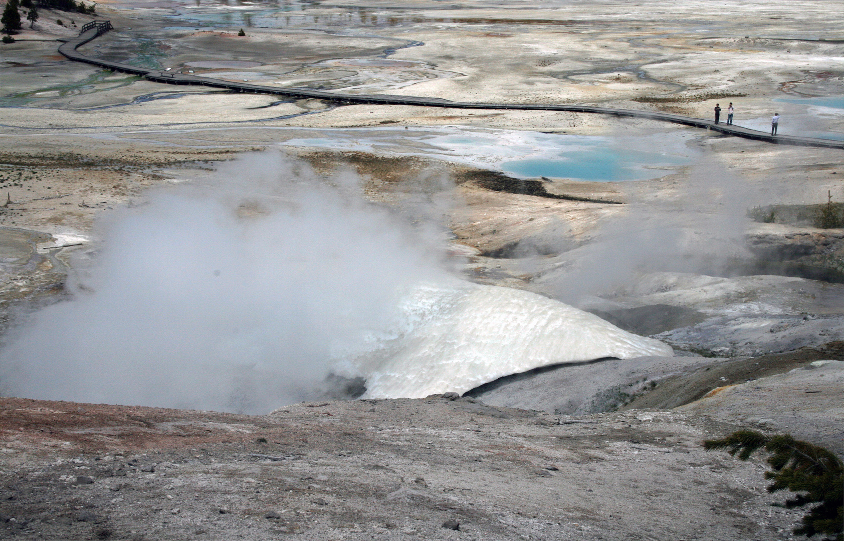 Yellowstone NP USA.