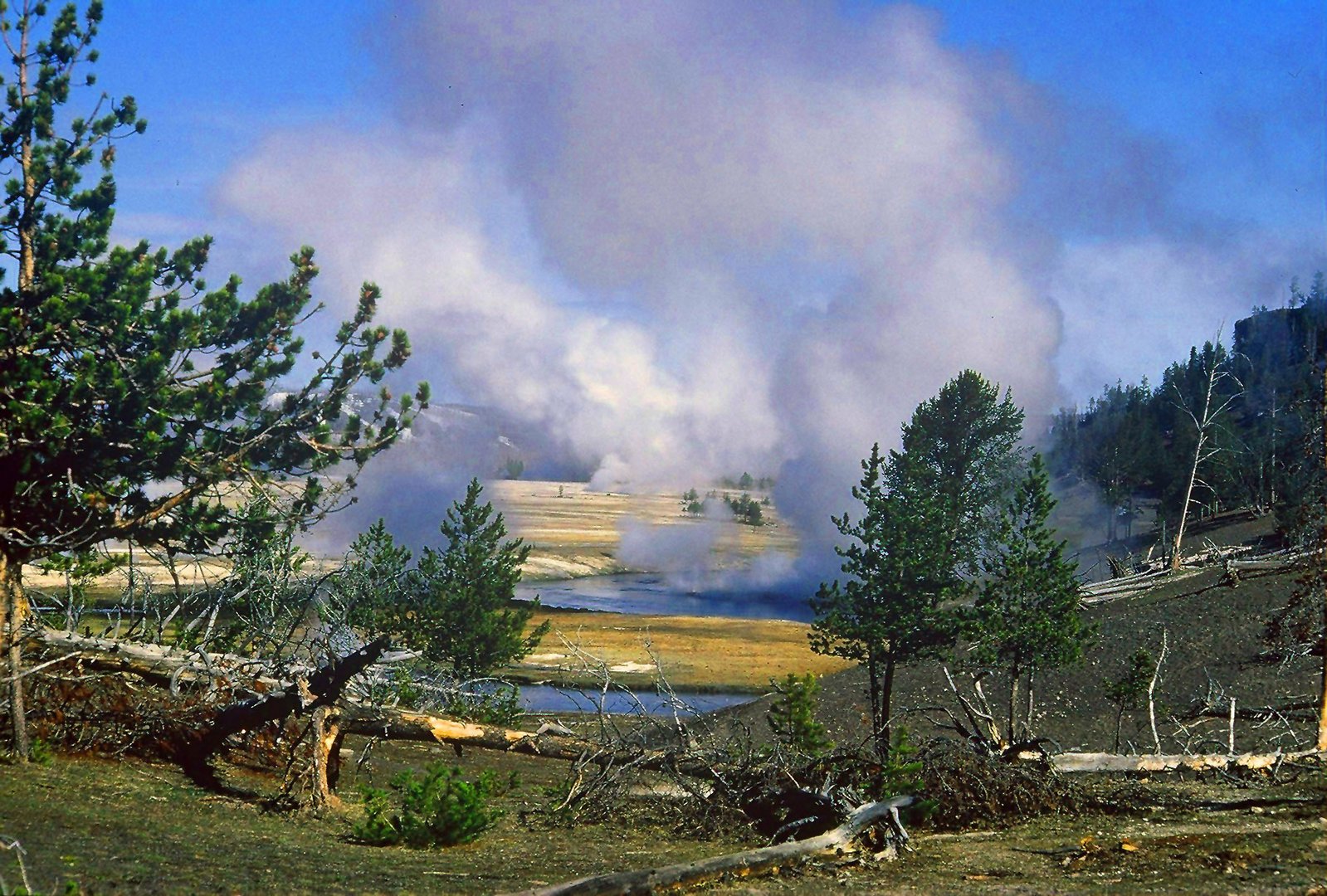 Yellowstone NP – Vulkanische Wasserdampfschwaden aus Fumarolen und Geysiren