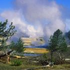 Yellowstone NP – Vulkanische Wasserdampfschwaden aus Fumarolen und Geysiren