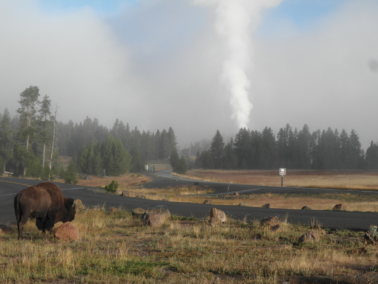 Yellowstone: Old Faithful Area am Morgen