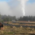 Yellowstone: Old Faithful Area am Morgen