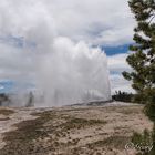 Yellowstone Old Faithful