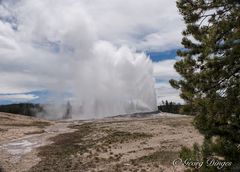 Yellowstone Old Faithful