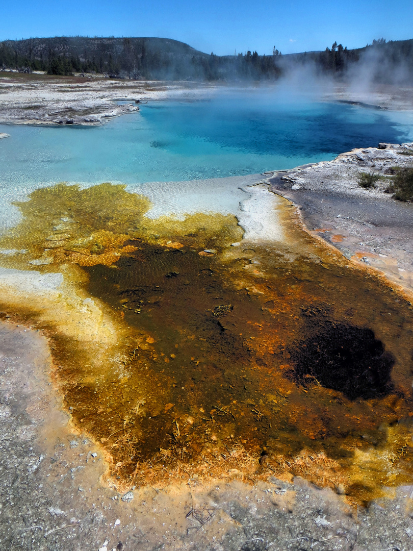 Yellowstone parc des contrastes!