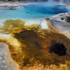 Yellowstone parc des contrastes!