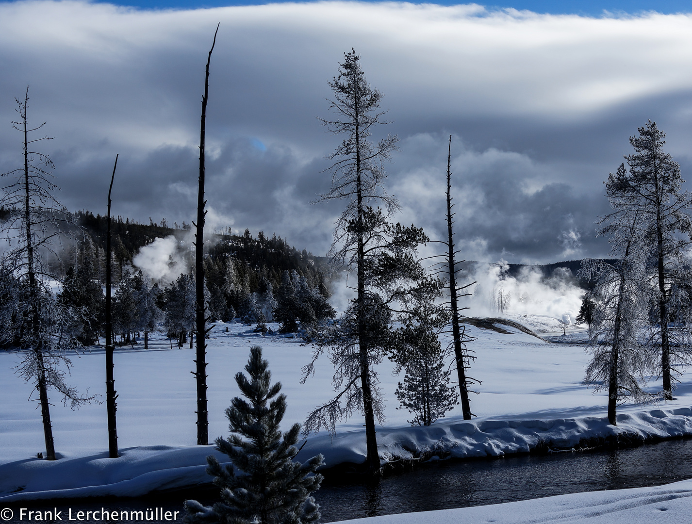 Yellowstone Park, typische Landschaft