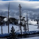 Yellowstone Park, typische Landschaft