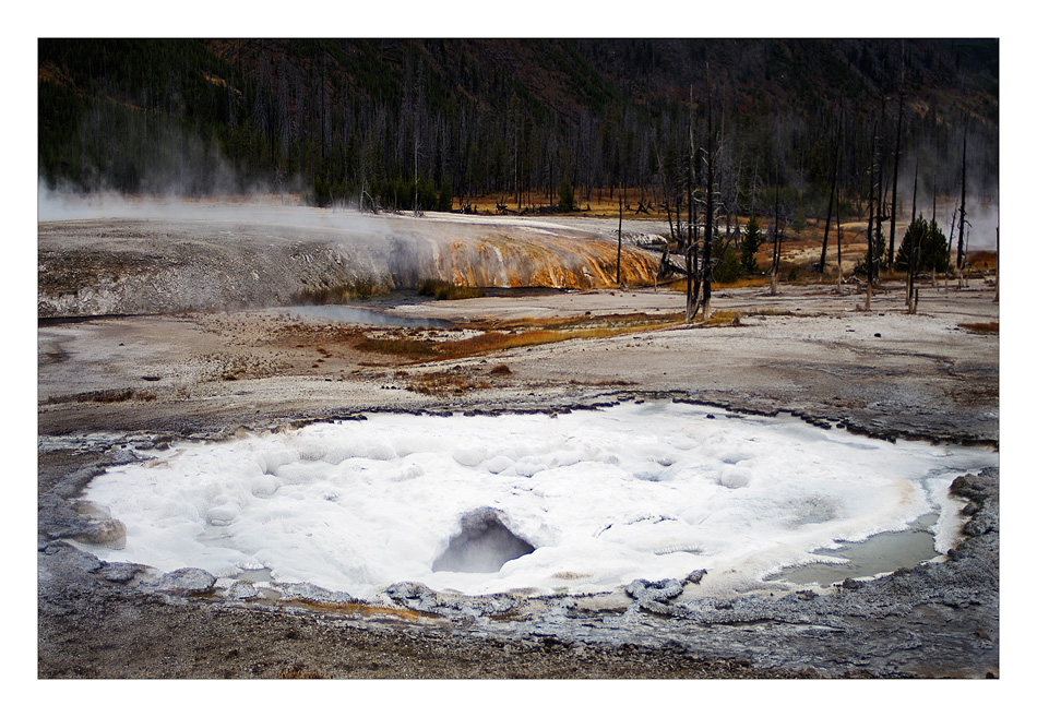 yellowstone part3