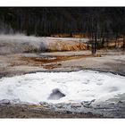 yellowstone part3