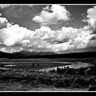 yellowstone river