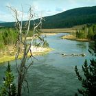 Yellowstone River