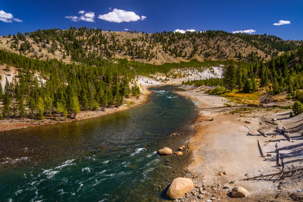 Yellowstone River nahe Tower Falls, Wyoming, USA