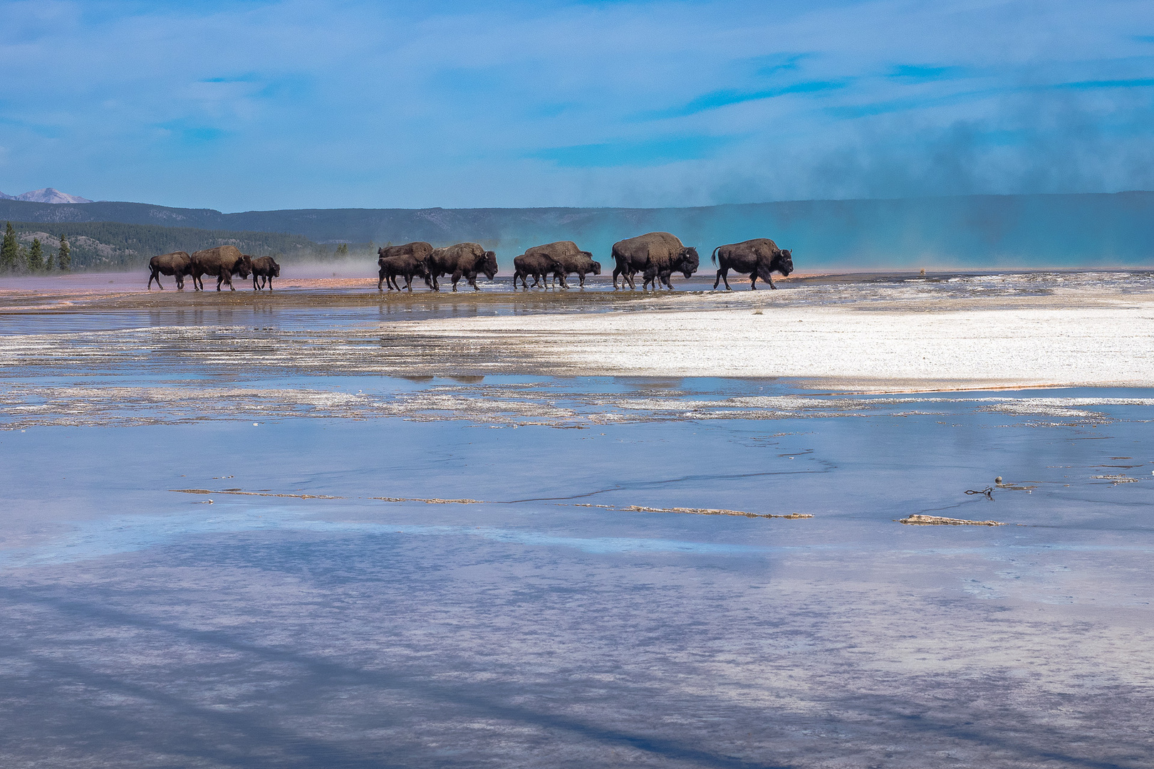 Yellowstone, Sep. 2015