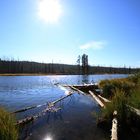 Yellowstone - Snake River