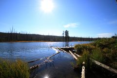 Yellowstone - Snake River