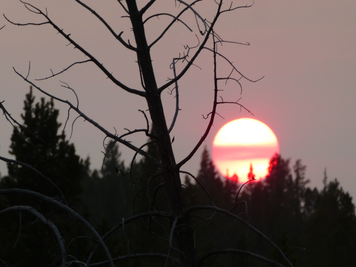 Yellowstone Sunset 2