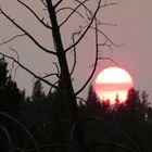 Yellowstone Sunset 2