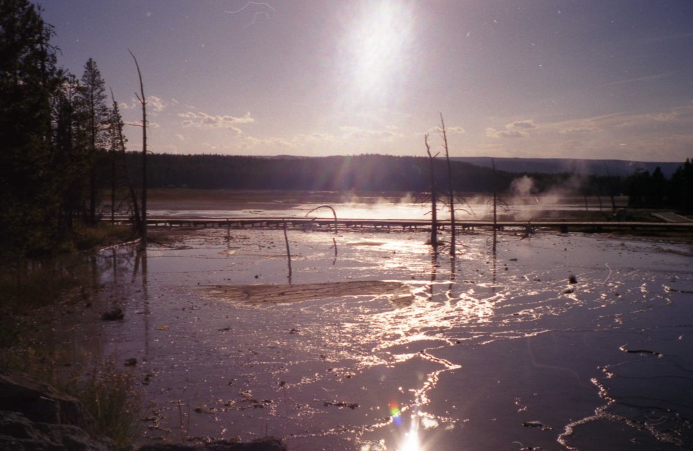 Yellowstone Swamp