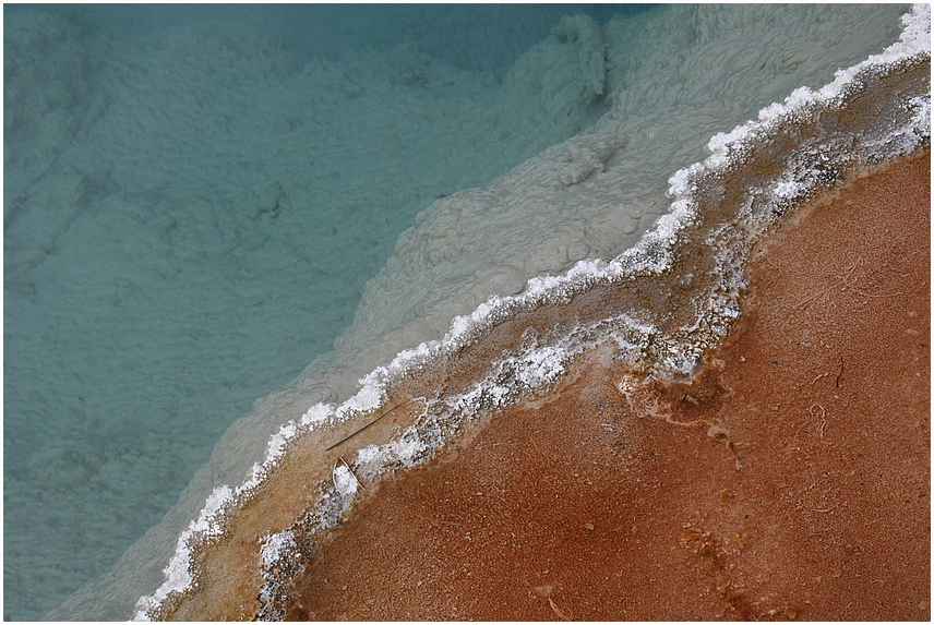 Yellowstone Tricolore