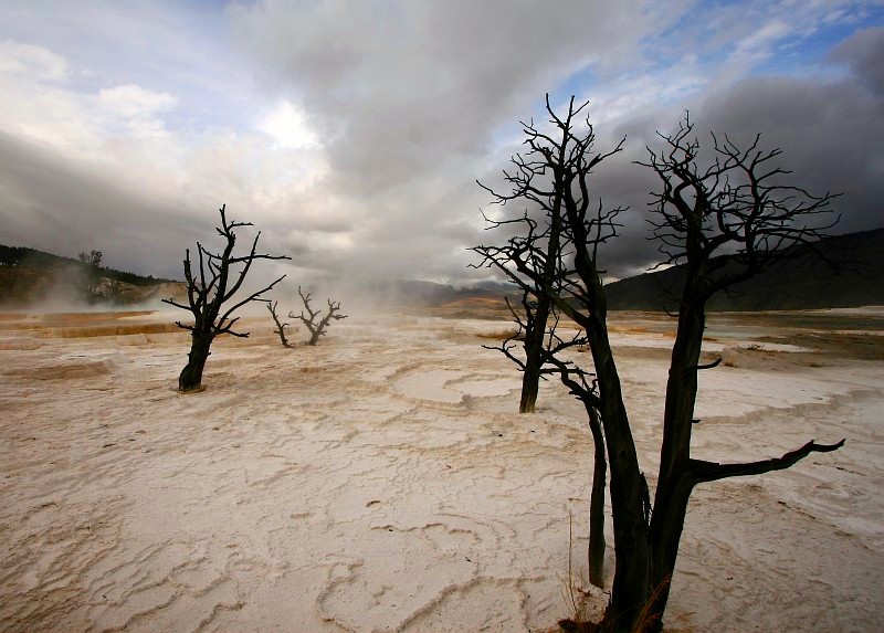 Yellowstone USA