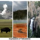 Yellowstone vertical