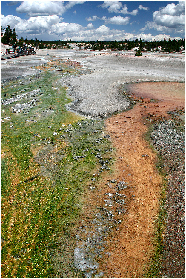 Yellowstone Views 1