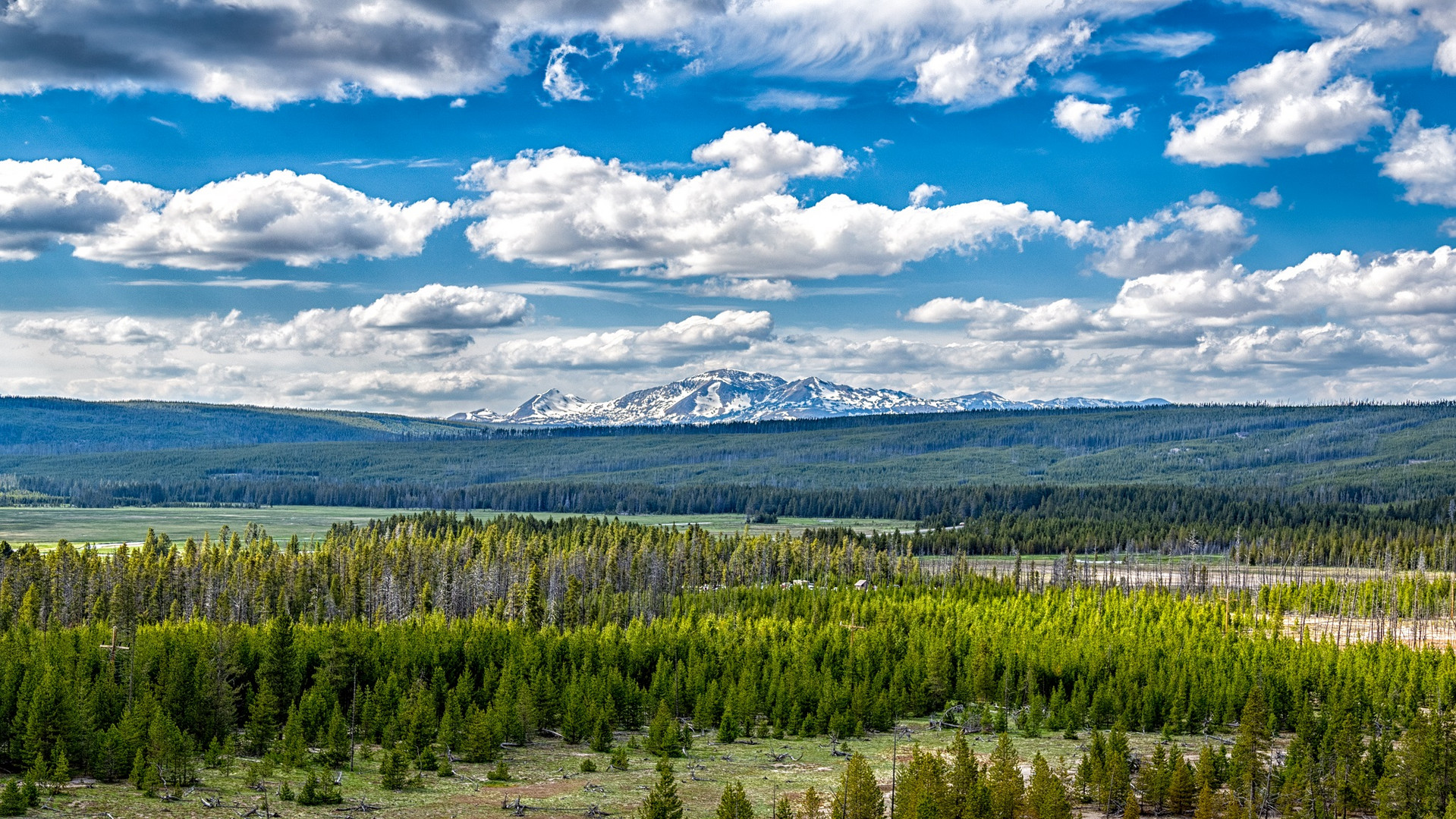 Yellowstone, weites Land