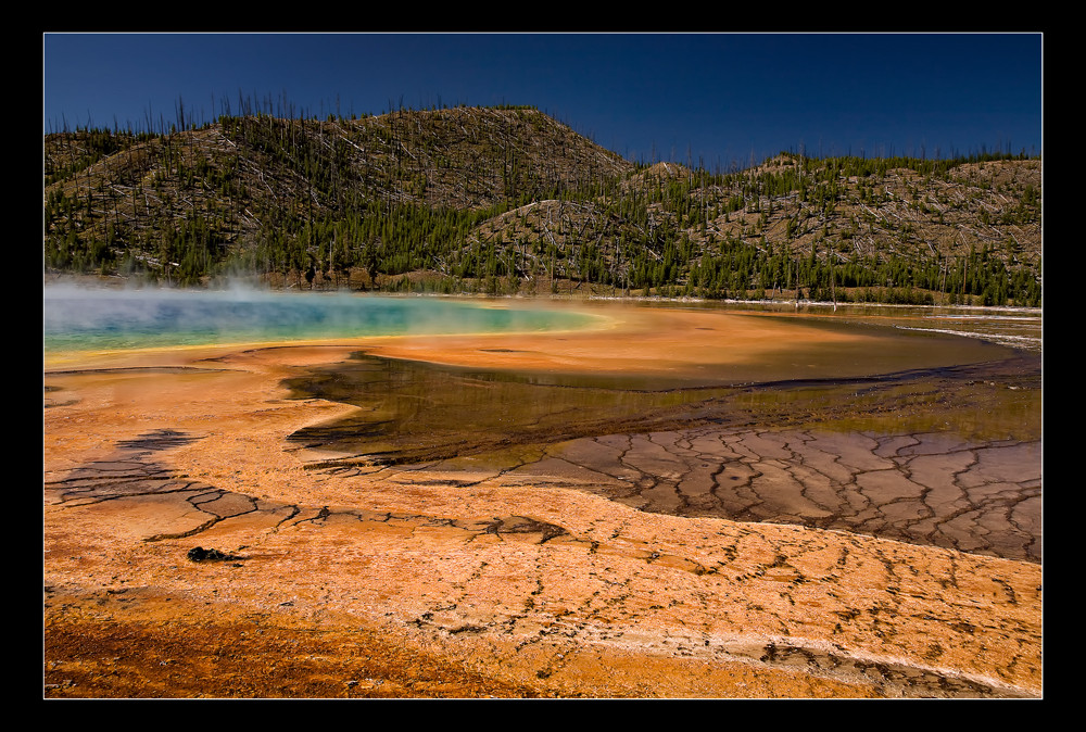 Yellowstone XVI