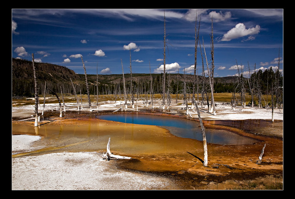 Yellowstone XVII