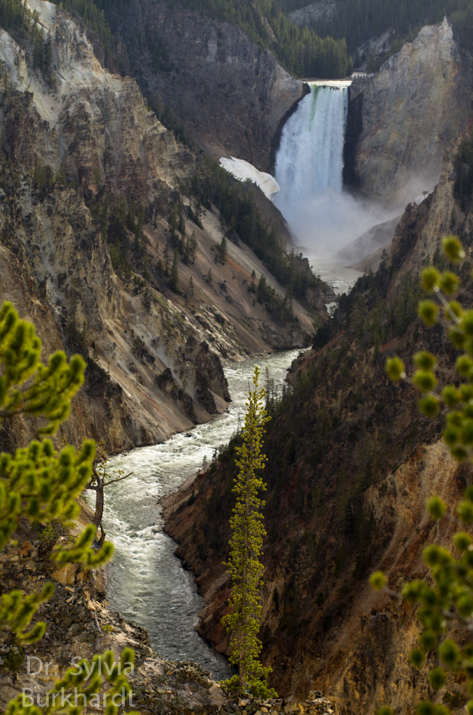 Yellowstonecanyon